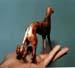 hand
