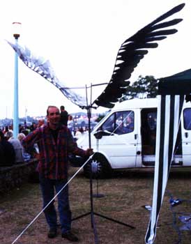 wings